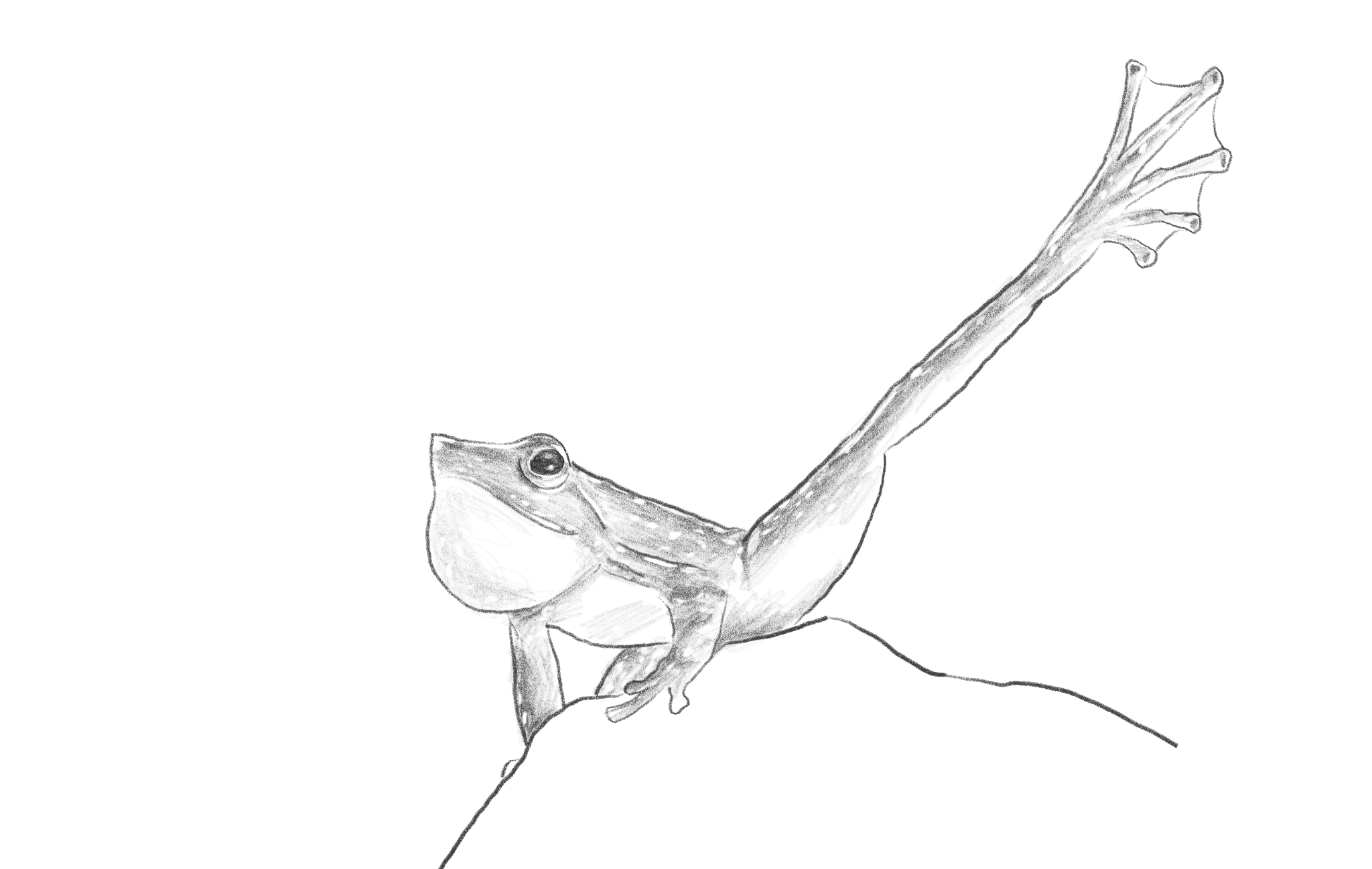 Dancing frog